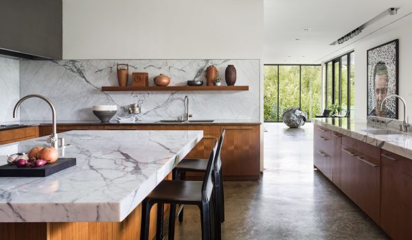 todd-williams-billie-tsien-dallas-home-8